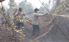 Permalink ke Wakapolda Riau & Kapolres Kampar Pantau Karhutla, Pastikan Pemadaman Tuntas di Rimbo Panjang