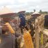 Panen Raya Jagung Pipil di Dumai Hasilkan ±4.500 kg, Dukungan Kapolres Bagi Ketahanan Pangan Nasional