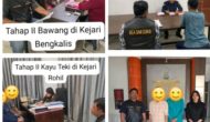 Permalink ke Bea Cukai Dumai Bongkar Empat Kasus Pidana Kepabeanan dan Cukai, Selamatkan Lebih dari Rp 700 juta Kerugian Negara