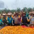 Polres Indragiri Hilir Gelar Zoom Meeting dan Panen Raya Jagung Kuartal I 2026 Dukung Swasembada Pangan