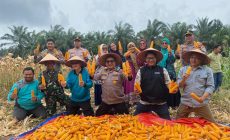 Permalink ke Polres Indragiri Hilir Gelar Zoom Meeting dan Panen Raya Jagung Kuartal I 2026 Dukung Swasembada Pangan