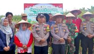 Permalink ke Polres Pelalawan Panen Raya Jagung di Pelalawan, Dukung Program Ketahanan Pangan