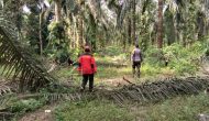 Permalink ke Antisipasi Karhutla, Polisi Sambangi Areal 1000 Dusun Gajah
