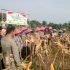 Polsek Dumai Barat Panen Raya Jagung, Dukung Swasembada Pangan