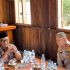 Tokoh Adat Datuk Engku Raja Lela Putra Dukung Polri Tetap Berada Langsung di Bawah Presiden RI
