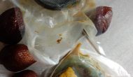 Permalink ke Dugaan Makanan MBG Belum Matang di SDN 013 Tembilahan Jadi Sorotan, Wali Murid Minta Evaluasi