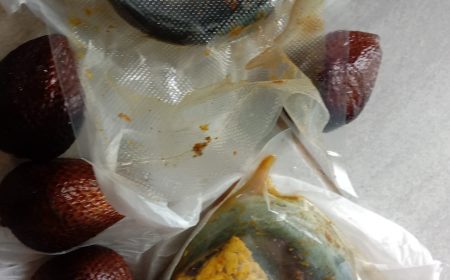 Permalink ke Dugaan Makanan MBG Belum Matang di SDN 013 Tembilahan Jadi Sorotan, Wali Murid Minta Evaluasi