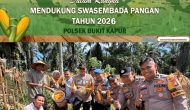 Permalink ke Polsek Bukit Kapur Gelar Panen Raya Jagung Kuartal III, Hasilkan Sekitar 1 Ton untuk Dukung Swasembada Pangan 2026