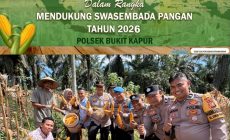 Permalink ke Polsek Bukit Kapur Gelar Panen Raya Jagung Kuartal III, Hasilkan Sekitar 1 Ton untuk Dukung Swasembada Pangan 2026 Permalink ke Polsek Bukit Kapur Gelar Panen Raya Jagung Kuartal III, Hasilkan Sekitar 1 Ton untuk Dukung Swasembada Pangan 2026