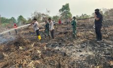 Permalink ke Polres Dumai Bersama TNI, BPBD dan Masyarakat Peduli Api Tangani Karhutla di Sungai Sembilan