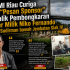 BASMI Riau Curiga Ada “Pesan Sponsor” di Balik Pembongkaran Pagar Milik Niko Fernando Jalan Sudirman bawah Jembatan Siak IV