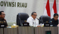 Permalink ke Di Riau Ada 128 Perusahaan Sawit  Tak Miliki HGU