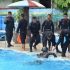 Berdayakan Kolam UMKM, Bentuk Kepedulian Sat Brimob Untuk Bantu Masyarakat