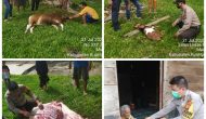 Permalink ke Bhabinkamtibmas Polres Kuansing Keliling Kampung Berbagi Daging Kurban