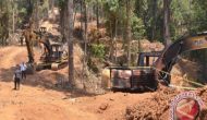 Permalink ke Usut Pemilik Eskavator di TNTN, Gakum KLHK Segera Periksa Kades