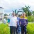 Meningkatkan Hasil Produksi Pertanian, Pj Bupati Kampar dan Anggota DPR RI Tinjau Lahan Padi Bertekhnologi IPAT BO