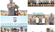 Permalink ke Polda Riau Panen Mandiri Jagung Tahap II, Komitmen Dukung Swasembada Pangan 2025