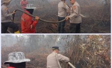 Permalink ke Kapolres Kampar ‘Turun Tangan’ Dinginkan Lahan Bekas Karhutla Dekat Perumahan Warga, Pastikan Aman