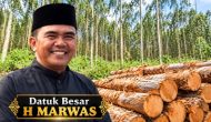 Permalink ke Fee Kayu Akasia Rantau Kasih Belum Jelas, Datuk Marwas Benarkan Pembagian Rp300 Ribu per KTP
