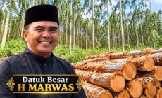 Permalink ke Fee Kayu Akasia Rantau Kasih Belum Jelas, Datuk Marwas Benarkan Pembagian Rp300 Ribu per KTP