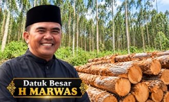 Permalink ke Fee Kayu Akasia Rantau Kasih Belum Jelas, Datuk Marwas Benarkan Pembagian Rp300 Ribu per KTP