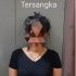 Seorang Wanita Berinisial WP (26) Warga Bukit Nenas Di Tangkap Polisi Seorang Wanita Berinisial WP (26) Warga Bukit Nenas Di Tangkap Polisi