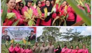 Permalink ke Hamparan Ladang Jagung Yang Menguning  Di Kelurahan Bagan  Besar Timur