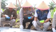 Permalink ke Kecamatan Bukit Kapur Berlangsung Kegiatan Penanaman Jagung Serentak Satu Juta Hektar Lahan