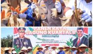 Permalink ke Kapolres Kampar Panen Raya Jagung: Wujud Dukungan Nyata untuk Ketahanan Pangan Nasional Permalink ke Kapolres Kampar Panen Raya Jagung: Wujud Dukungan Nyata untuk Ketahanan Pangan Nasional