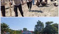 Permalink ke Polri dan Ponpes Al Falah Bersinergi, Tanam Jagung Pipil untuk Wujudkan Swasembada Pangan