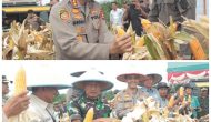 Permalink ke Kapolres Kuansing Hadiri Panen Raya Jagung Serentak Kuartal II di PT Gatipura Mulya di Kecamatan Pangan