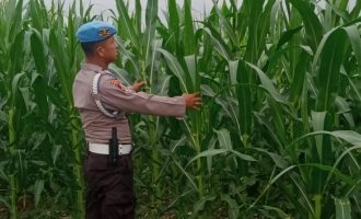 Permalink ke Personel Polsek Kawasan Pelabuhan ( KSKP) Polres Dumai Polda Riau Bersama Kelompok Tani Tuah Brata