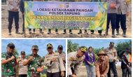 Permalink ke Dukung Program Ketahanan Pangan Nasional, Polsek Tapung Tanam Jagung Pipil di Desa Indrapuri Permalink ke Dukung Program Ketahanan Pangan Nasional, Polsek Tapung Tanam Jagung Pipil di Desa Indrapuri