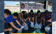 Permalink ke Dukung Program Ketahanan Pangan Nasional, Lapas Narkotika Rumbai Tebar 6000 Benih Ikan Lele Permalink ke Dukung Program Ketahanan Pangan Nasional, Lapas Narkotika Rumbai Tebar 6000 Benih Ikan Lele