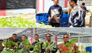 Permalink ke Panen Sawi Hidroponik dan Ikan Nila di Lapas Narkotika Rumbai: Hasil Kerja Keras Warga Binaan