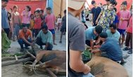 Permalink ke Jumlah Hewan Qurban di Masjid Paripurna Syuhada Kelurahan Sumahilang Menurun 