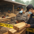 llegal Logging Masih Mengintai Riau, Publik Apresiasi Penindakan Polda namun Minta Pengawasan Sawmill Diperketat