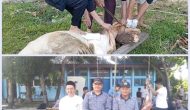 Permalink ke Rayakan Idul Adha 1444 H, SMAN 8 Pekanbaru Sembelih 7 Sapi Dan 3 Ekor Kambing