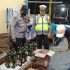 Polres Dumai Melaksanakan Patroli Dan Razia Gabungan